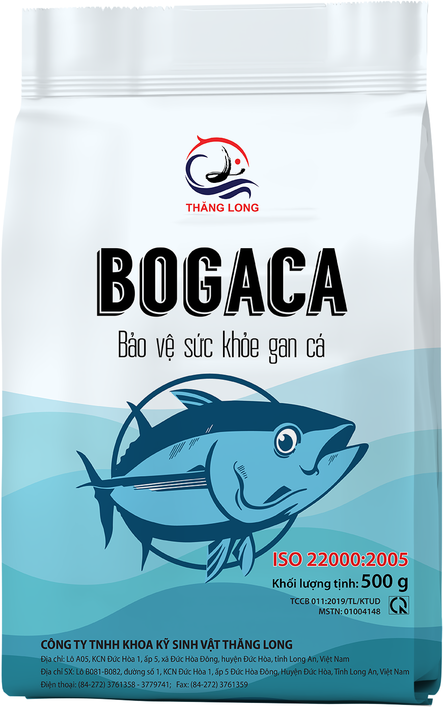 15635_bogacaA.png